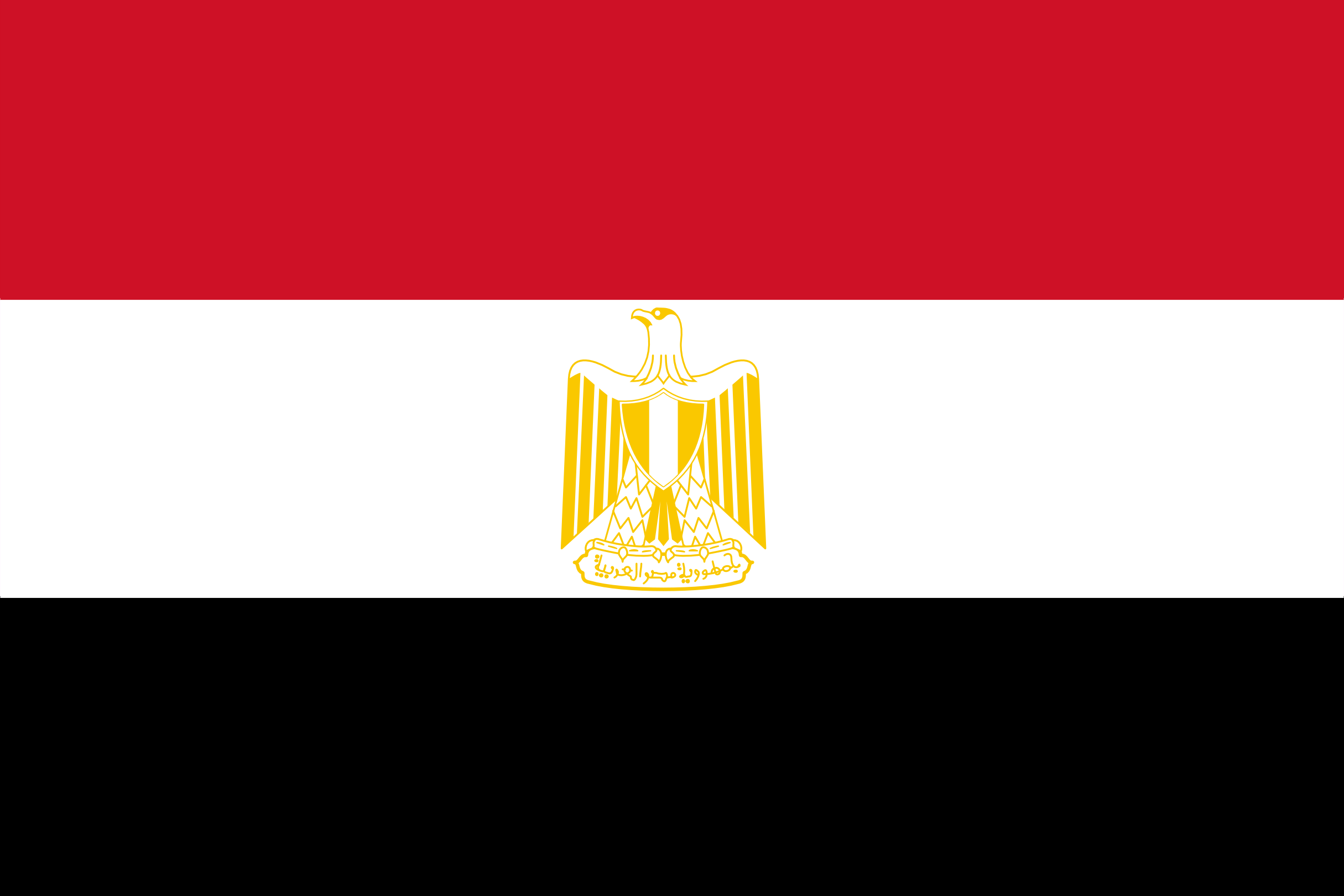 the image shows the egyptian flag