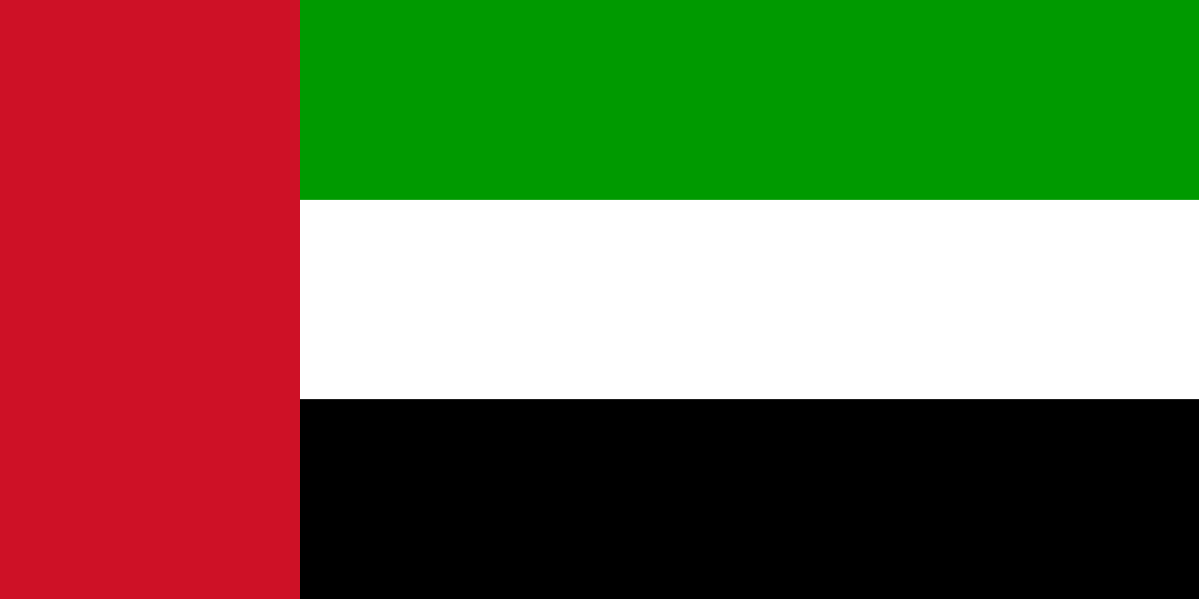 the image shows the flag of the united arab emirates