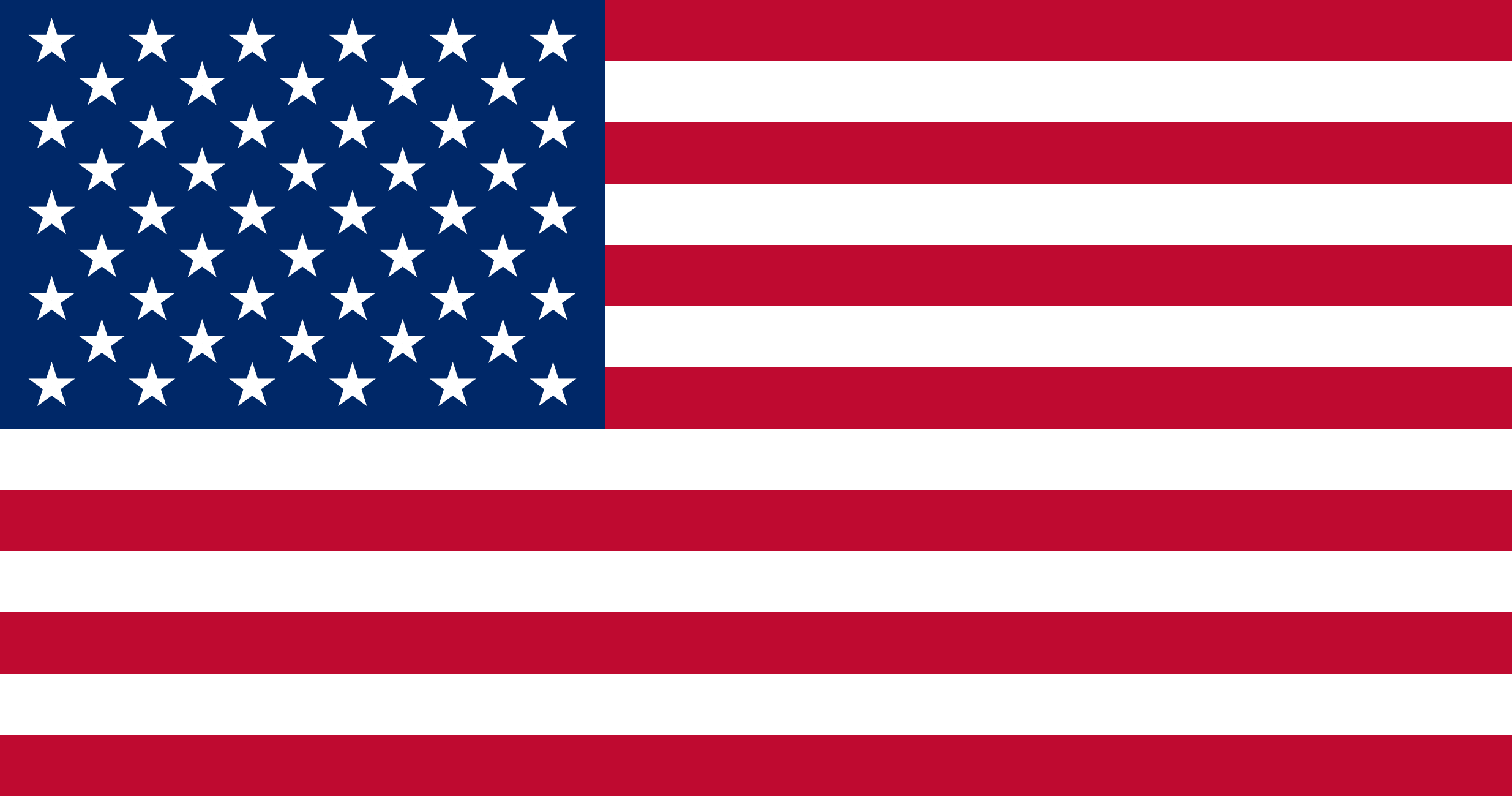 the image shows the american flag