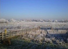 Frost over Cossington Meadows